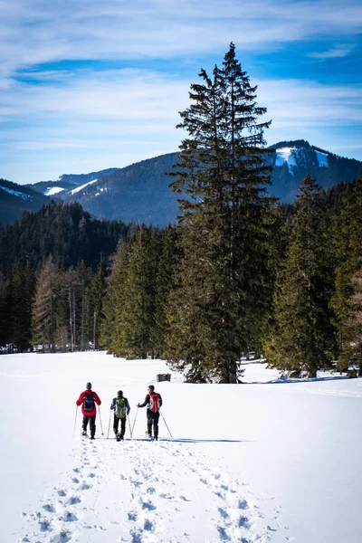 Erwachsene Schneeschuhwanderung durch das Feld in Kaiserau mit Bergrotte — Stockfoto