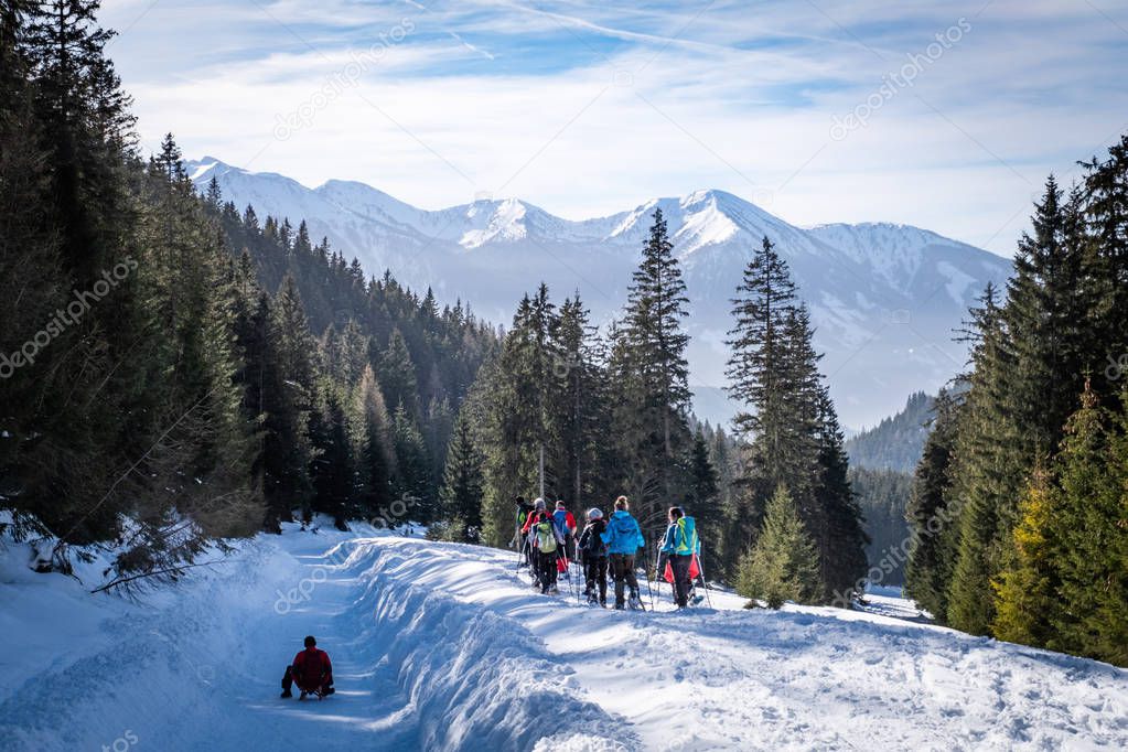 Adults snowshoeing thruogh forest in Kaiserau with mountain Rott