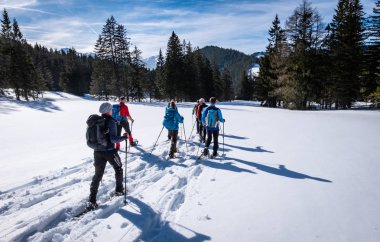 Yetişkin Kaiserau thruogh ormanda dağ Rott ile snowshoeing