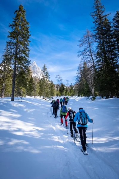 Adultos raquetas de nieve Thruogh bosque en Kaiserau con montaña Admo — Foto de Stock