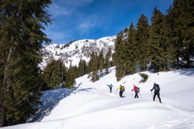 Yetişkin Kaiserau thruogh ormanda dağ Kreu ile snowshoeing
