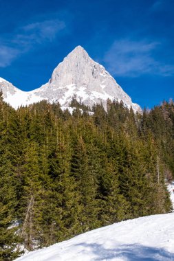 Ormana Plato Kaiserau dağ Admonter Kalbling üzerinde göster