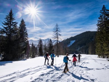 Yetişkin Kaiserau thruogh ormanda dağ Rott ile snowshoeing