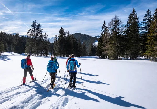 Adultos raquetas de nieve Thruogh bosque en Kaiserau con la montaña podrida — Foto de Stock