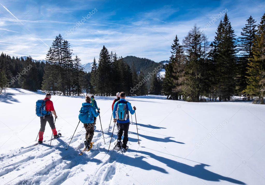Adults snowshoeing thruogh forest in Kaiserau with mountain Rott