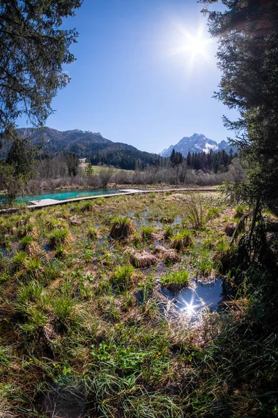 Lago Zelenci e Ponce montanhas na reserva natural na Eslovénia — Fotografia de Stock