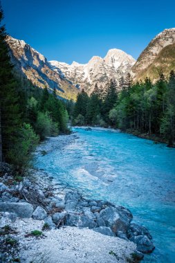 Triglav Milli Parkı 'ndaki dağa Soca nehrinden görünüm