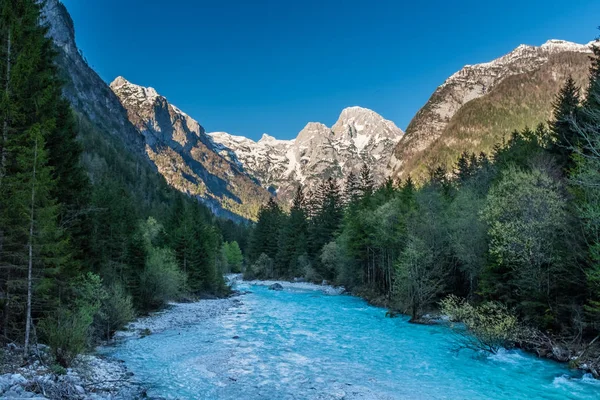 Blick vom Fluss Soca auf die Berge im Triglav-Nationalpark — Stockfoto