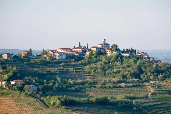 Vesnice Gornje Cerovo v oblasti vinné révy Brda ve Slovinsku, v Evropě — Stock fotografie