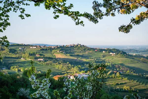 Vesnice Gornje Cerovo v oblasti vinné révy Brda ve Slovinsku, v Evropě — Stock fotografie
