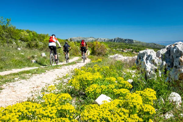 Ciclista de montaña conduciendo en Istria a la montaña Sisol, Parque Ucka —  Fotos de Stock
