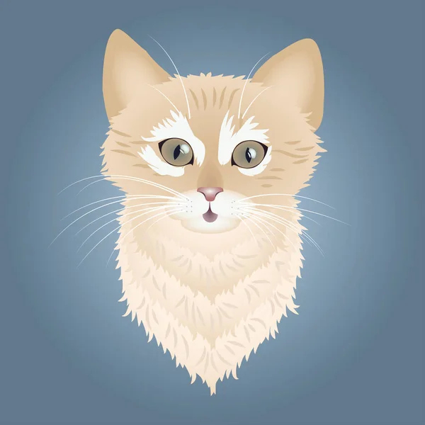 Kırmızı Kedi Yavrusu Stilize Görüntüsü Öğe Için Tasarım Sembol — Stok Vektör