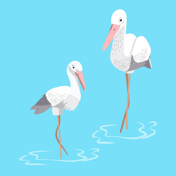 Heron in cartoon style. Vector illustration