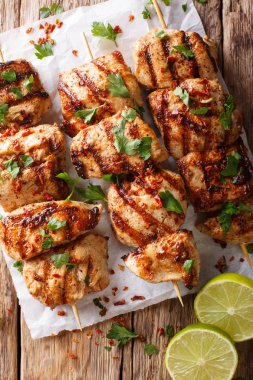 Afgan tavuk şiş kebap e Murgh yakın çekim kağıt üzerinde tablo. Abov gelen dikey üstten görünüm