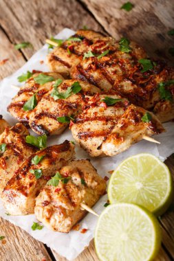 Kebap e Murgh - yoğurt kimyon sosunda Marine edilmiş tavuk Kabab 