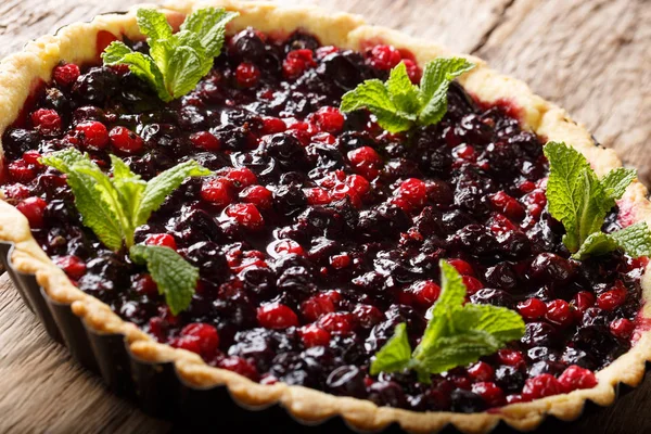 Summer Dessert Tart Currant Berries Blueberries Cranberries Close Baking Dish — Stock Photo, Image