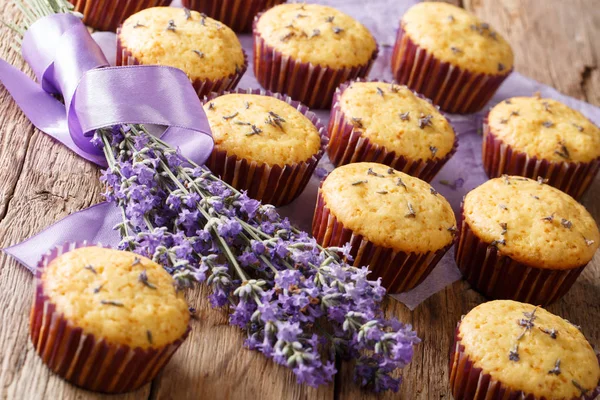 Szép Étel Desszert Muffin Levendula Virágot Közelről Tábla Vízszintes Görgetősáv — Stock Fotó