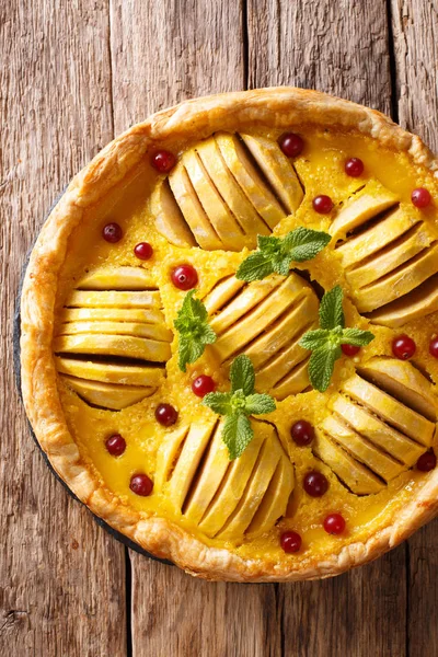 Köstliche Dessertspeise Apfel Preiselbeerkuchen Mit Pudding Und Minze Großaufnahme Auf — Stockfoto