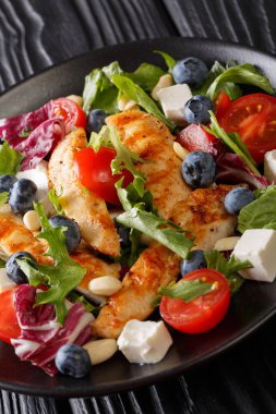Yaban mersini, peynir, fındık, domatesli ve masanın üzerine marul yakın çekim taze ızgara tavuk salata. Vertica