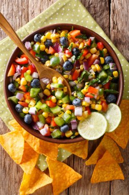 Mısır, yaban mersini, biber ve soğan ile tortilla cips yakın çekim masaya servis yapılan salsa salata. Abov gelen dikey üstten görünüm