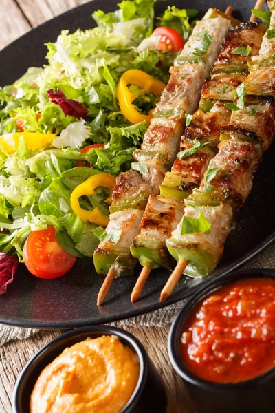 Sertés shish kebab, a lemez és a mártással a növényi friss salátával — Stock Fotó