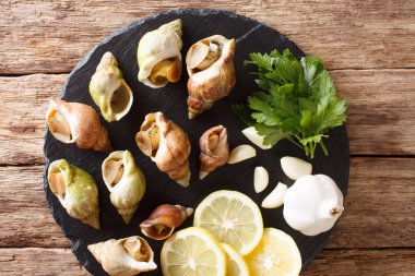 çiğ yenilebilir deniz salyangoz, whelks yakın çekim ve limon, maydanoz, sarımsak masada kayrak bir gemide. Abov üzerinden yatay üstten görünüm