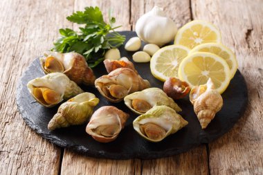 Buccinum undatum, tanıtmaktadır salyangozu, sarımsak ve maydanoz, limon yakın çekim bir tablo ile deniz salyangoz. Yatay