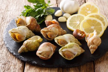 Doğal Fransız yemekleri: çiğ yenilebilir deniz salyangozları yakın çekim ve limon, maydanoz, sarımsak masada kayrak bir gemide. Horizonta