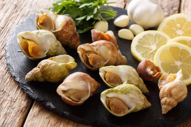 çiğ yenilebilir deniz salyangoz, whelks yakın çekim ve limon, maydanoz, sarımsak masada kayrak bir gemide. Horizonta