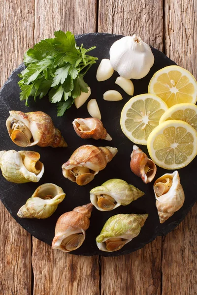 Fresh Raw Shellfish Whelk Sea Snails Bulot Close Lemon Parsley — Stock Photo, Image