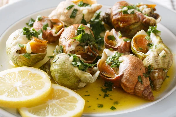 Delicatessen Food Whelk Sea Snails Bulot Garlic Sauce Parsley Lemon — Stock Photo, Image