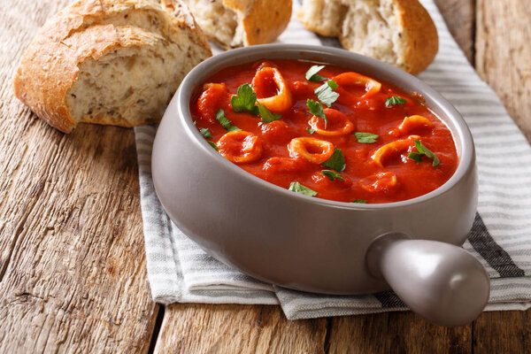 Домашняя итальянская еда, тушеная кальмары в томатном соусе со специями и петрушкой крупным планом в кастрюле, и свежий хлеб. hhhonta
