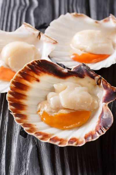 Sea Edible Mollusks Raw Scallops Shell Close Black Table Vertical — Stock Photo, Image