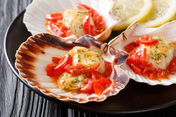 Jakobsmuscheln Mit Sauce Tomaten Und Petersilie Großaufnahme Auf Einem Teller — Stockfoto