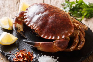 Limon, maydanoz ve baharat ahşap bir masa bir kayrak kurulu yakın çekim üzerinde ham kahverengi yengeç. Horizonta