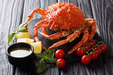 güzel menü Örümcek Yengeci haşlanmış domates, limon ve eritilmiş tereyağı yakın çekim bir kara tahta üzerinde servis edilir. Horizonta