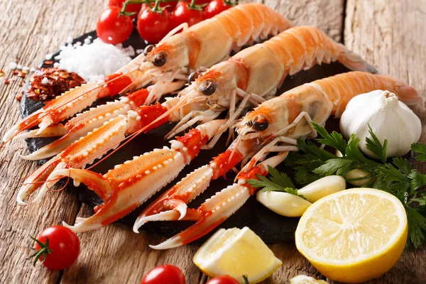 Nephrops Norvegicus Fresco Crudo Cigala Langosta Bahía Dublín Langoustine Scampi —  Fotos de Stock