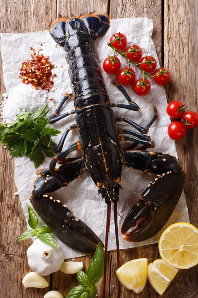 Fisk Och Skaldjur Mat Hummer Med Grönsaker Örter Och Kryddor — Stockfoto