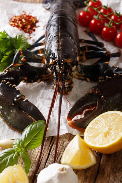 Lagosta Grande Fresca Com Ingredientes Para Cozinhar Close Mesa Estilo — Fotografia de Stock