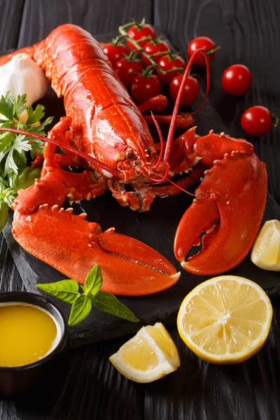 Served Whole Red Lobster Close Lemon Fresh Tomatoes Herbs Black — Stock Photo, Image