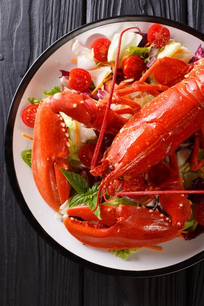 Receita Comida Luxo Lagosta Fervida Com Salada Vegetal Fresca Close — Fotografia de Stock