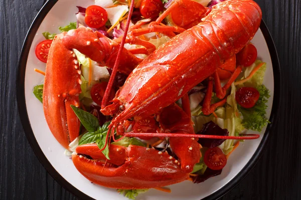 Fundo Frutos Mar Lagosta Vermelha Com Salada Vegetal Fresca Close — Fotografia de Stock