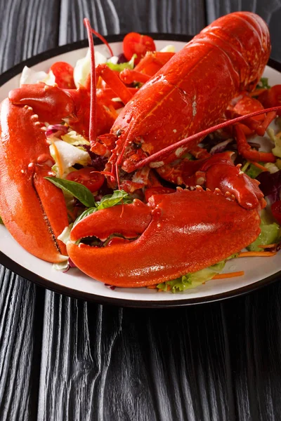 Comida Deliciosa Ferveu Lagosta Com Salada Vegetal Fresca Close Chapa — Fotografia de Stock