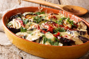 Geleneksel tarifi fırında patlıcan domates, otlar ve pişirme için bir tabak içinde peynir yakın çekim için. Horizonta