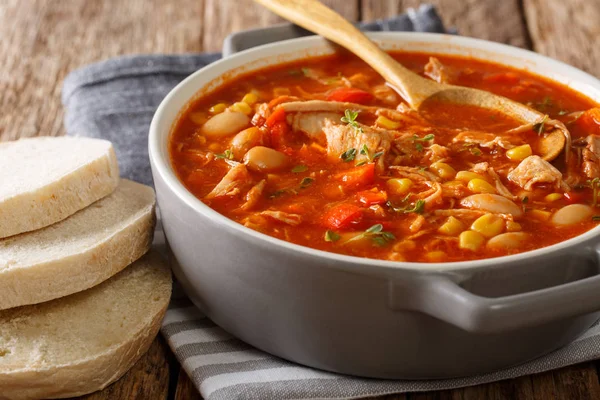 Brunswick Stew Gryta Med Grönsaker Kyckling Buljong Och Barbecue Sås — Stockfoto