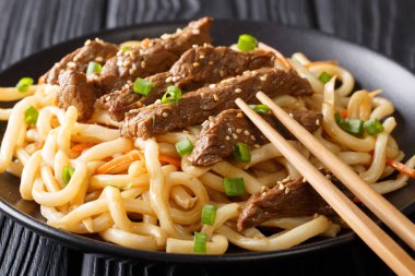 Sığır eti teriyaki udon erişte, havuç ve yeşil soğan yakın masada bir plaka üzerinde çekim kısmı. Horizonta