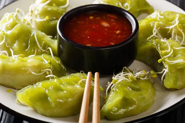 Japoński Gyoza Matcha Podawane Sosem Microgreen Zbliżenie Talerzu Pozio — Zdjęcie stockowe