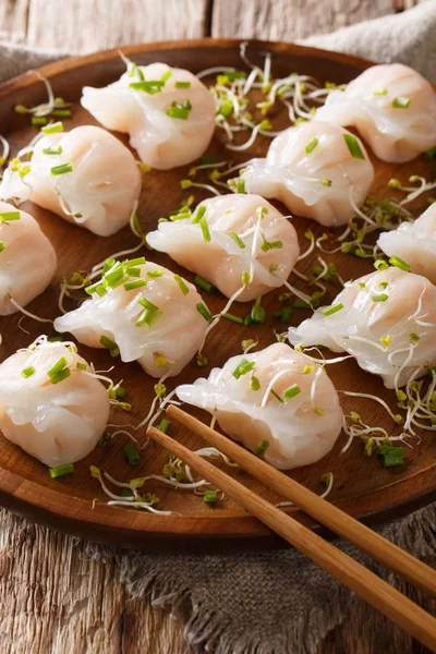 Čínské Knedlíčky Dim Sum Knedlíčky Mořskými Plody Podávané Microgreen Detail — Stock fotografie