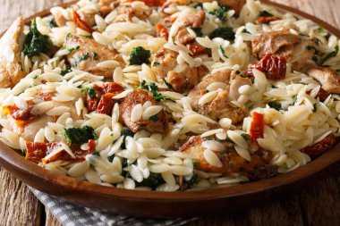 Rustik tarzı, orzo makarna ile kızarmış tavuk, kurutulmuş domates, ıspanak, bir tabak masaya sarımsak ve peynir yakın çekim. Horizonta