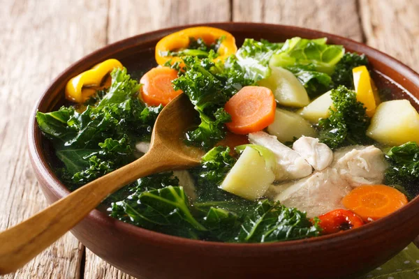 Курячий суп в сільському стилі з капустою та овочами крупним планом в — стокове фото